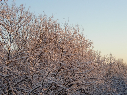 wintersonnenwende.jpg