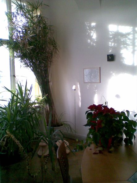 ausstellung443 ausstellung443